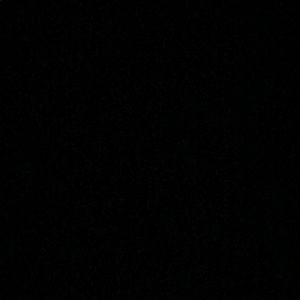 Meet your Posher, Oscar